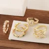 New fashion zircon rings from Europe and America are popular, adjustable and small jewelry accessories for women's wholesale Application Scenario