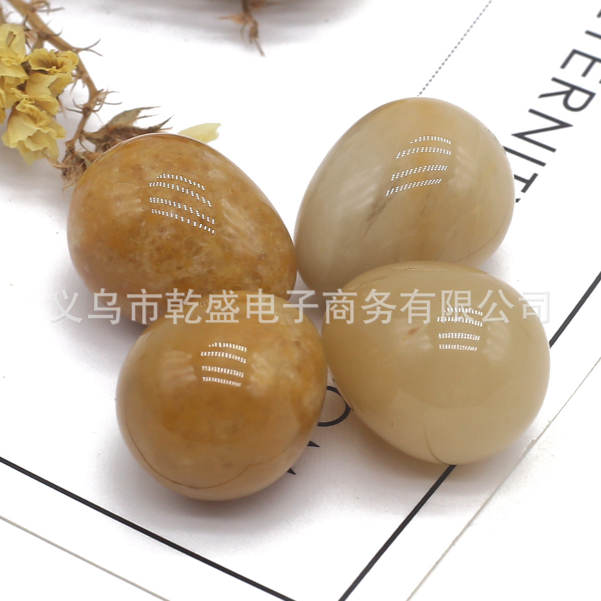 import白底实物图