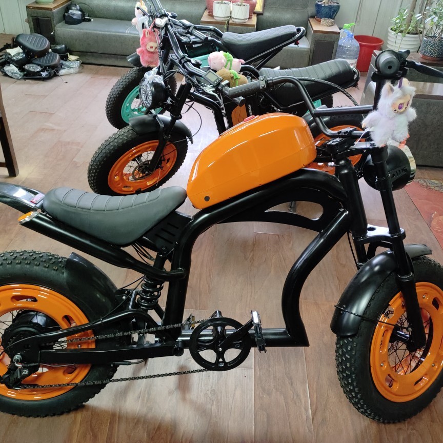 Dirt bike Harley-Davidson 48v20ah High-power fat tire electric-assisted off-road motorcycle Specification image
