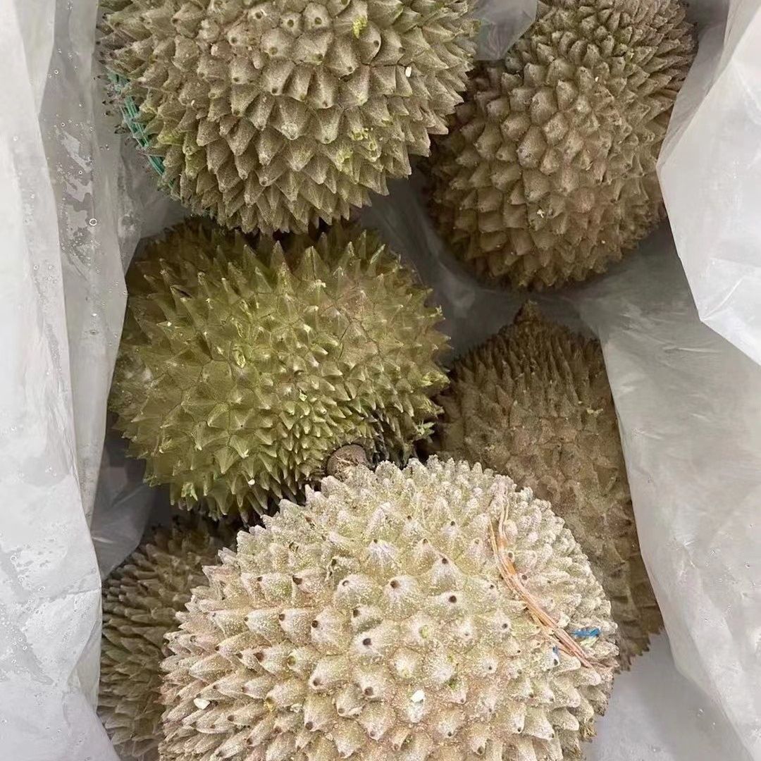 Authentic Cat Mountain King durian d197, liquid nitrogen frozen preservation, fresh durian with shell in season, wholesale from the source Application Scenario