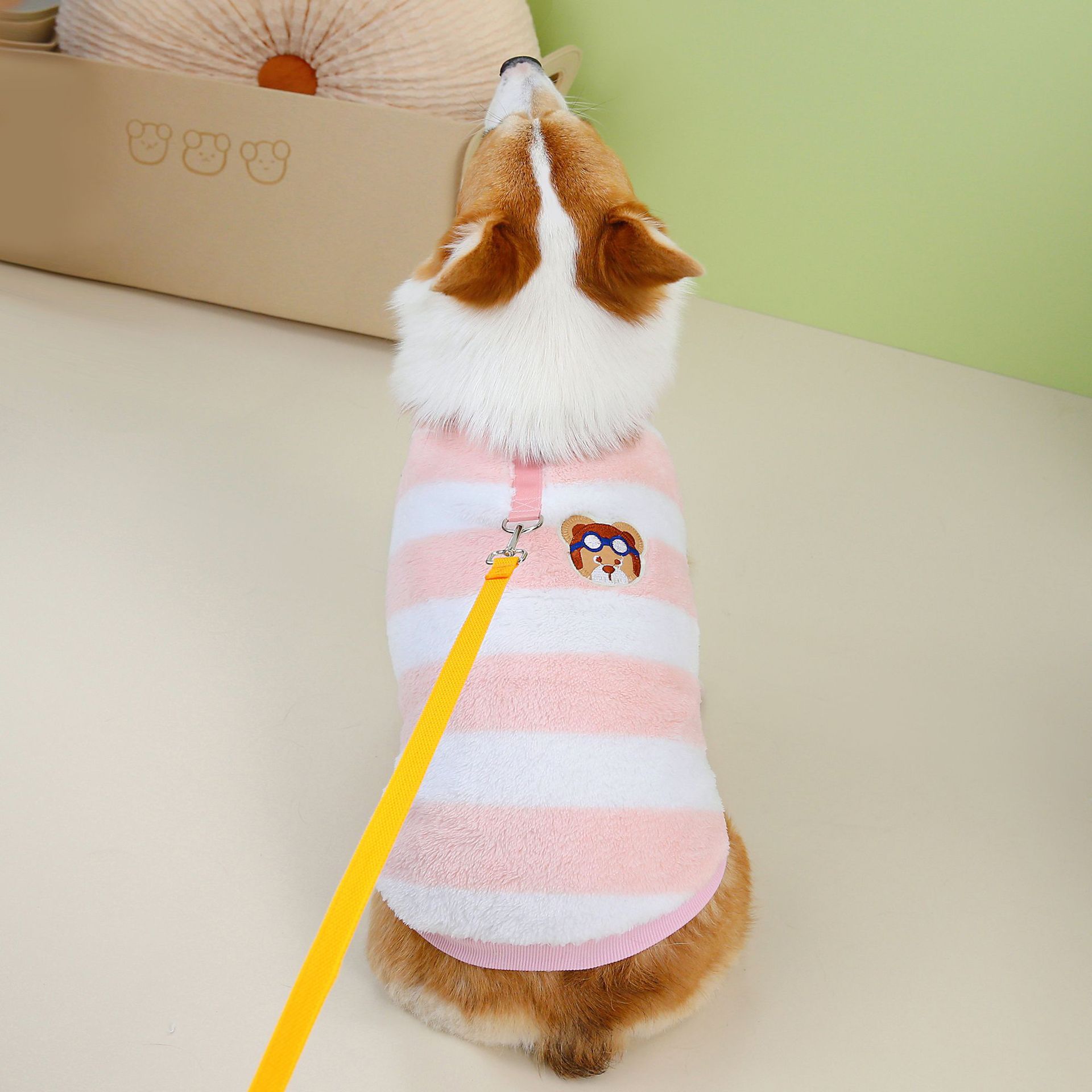 狗狗服装实物图