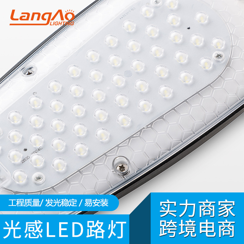 Cross-border practical municipal street lamp, 20W light-controlled led villa lamp, courtyard lamp, new rural project outdoor lighting lamp Application Scenario