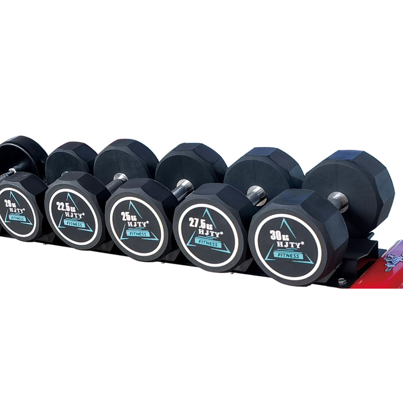 Huijun Gym Professional Fixed dumbbell ten-sided upgraded version PEV material fitness dumbbell set details Picture