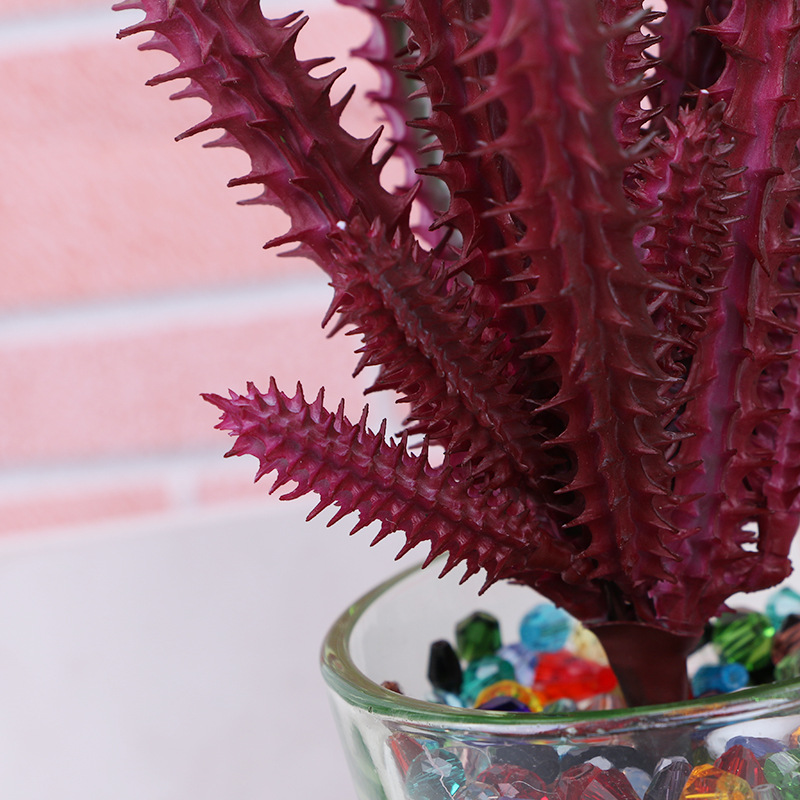 仿真植物实物图