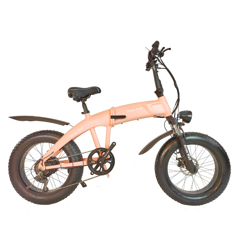 Dual-motor snow electric-assisted vehicle, dual-battery dual-motor electric bicycle, folding dual-motor electric vehicle details Picture