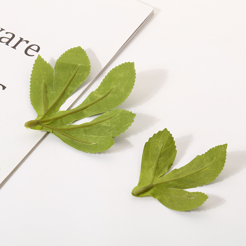 仿真蕨类实物图