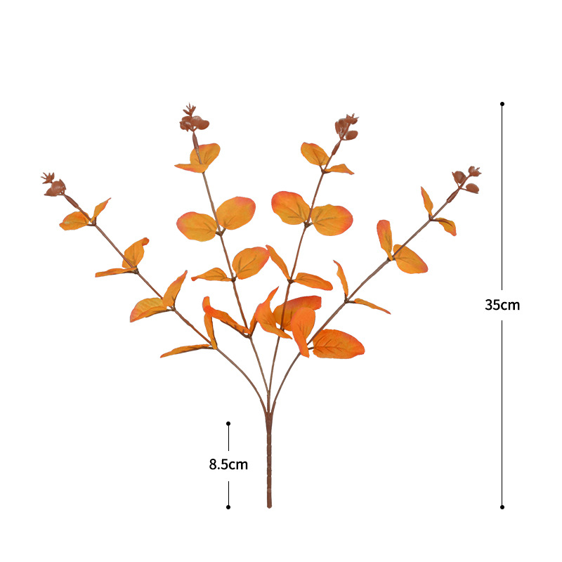 微景观瓶实物图