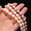 Natural freshwater pearl rice-shaped pearl DIY jewelry accessories, handcrafted jewelry necklaces production and wholesale Application Scenario