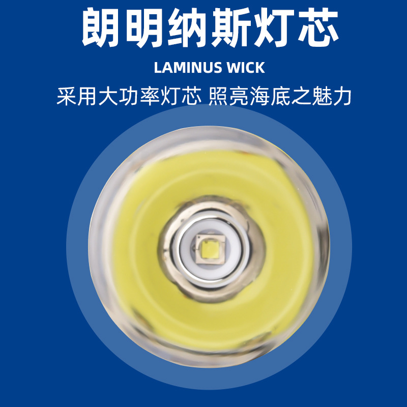 The new cross-border t40 high-intensity flashlight is a dual-purpose water and land charging fixed-focus ipx8 professional diving photography flashlight Specification image