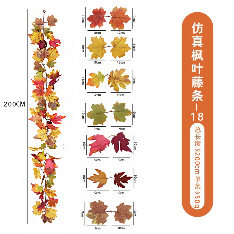 仿真蕨类实物图