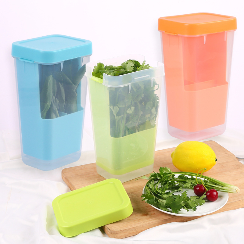 Vegetable preservation box, plastic transparent storage container, multi-functional kitchen refrigerator, preservation container, creative mold, cross-border