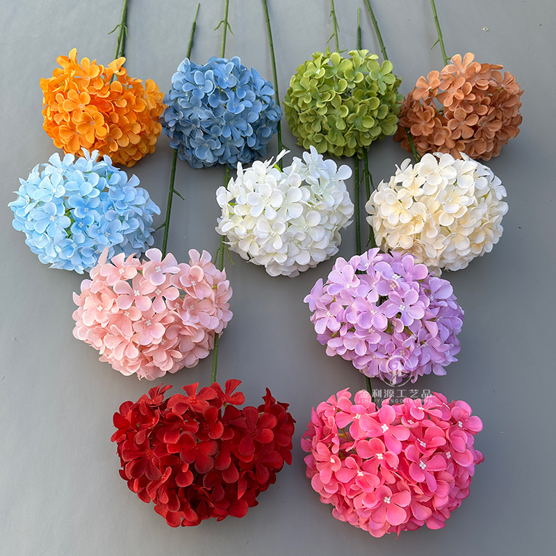 仿真柿子树/朱顶红种球/仿真金桔/树苗/花盆冰箱贴产品图