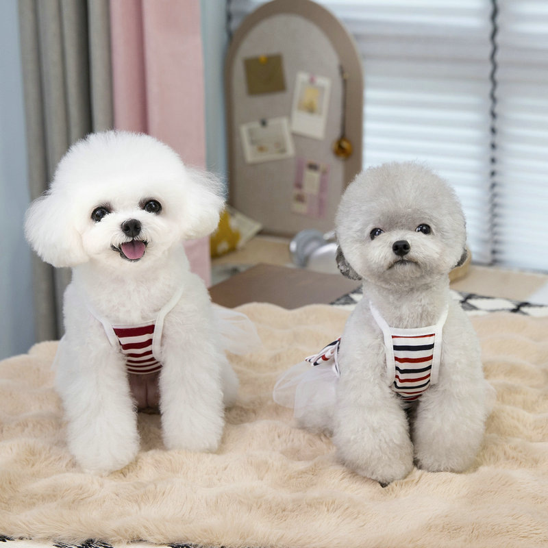 Two striped navy style dresses for pet clothing. Pet cat and dog clothes. Pet dog clothes. Pet clothing. Pet clothing. Fashionable and cute details Picture