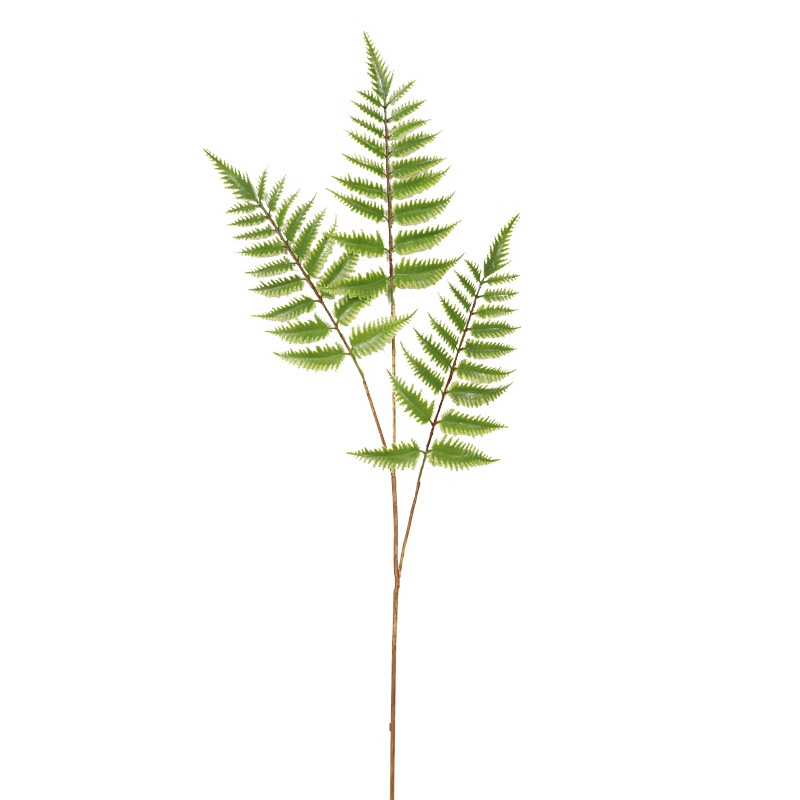 Nordic simulated green plants: 3-forked serrated leaves, simulated asparagus leaves, black bone miscanthus, Persian grass, home fern grass, cross-border green plants Item Picture