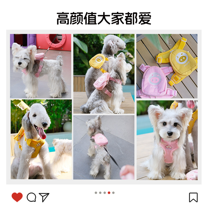 宠物遛狗狗溜猫咪胸背带户外牵引狗绳子项圈衣服防爆冲猫用品批发细节图