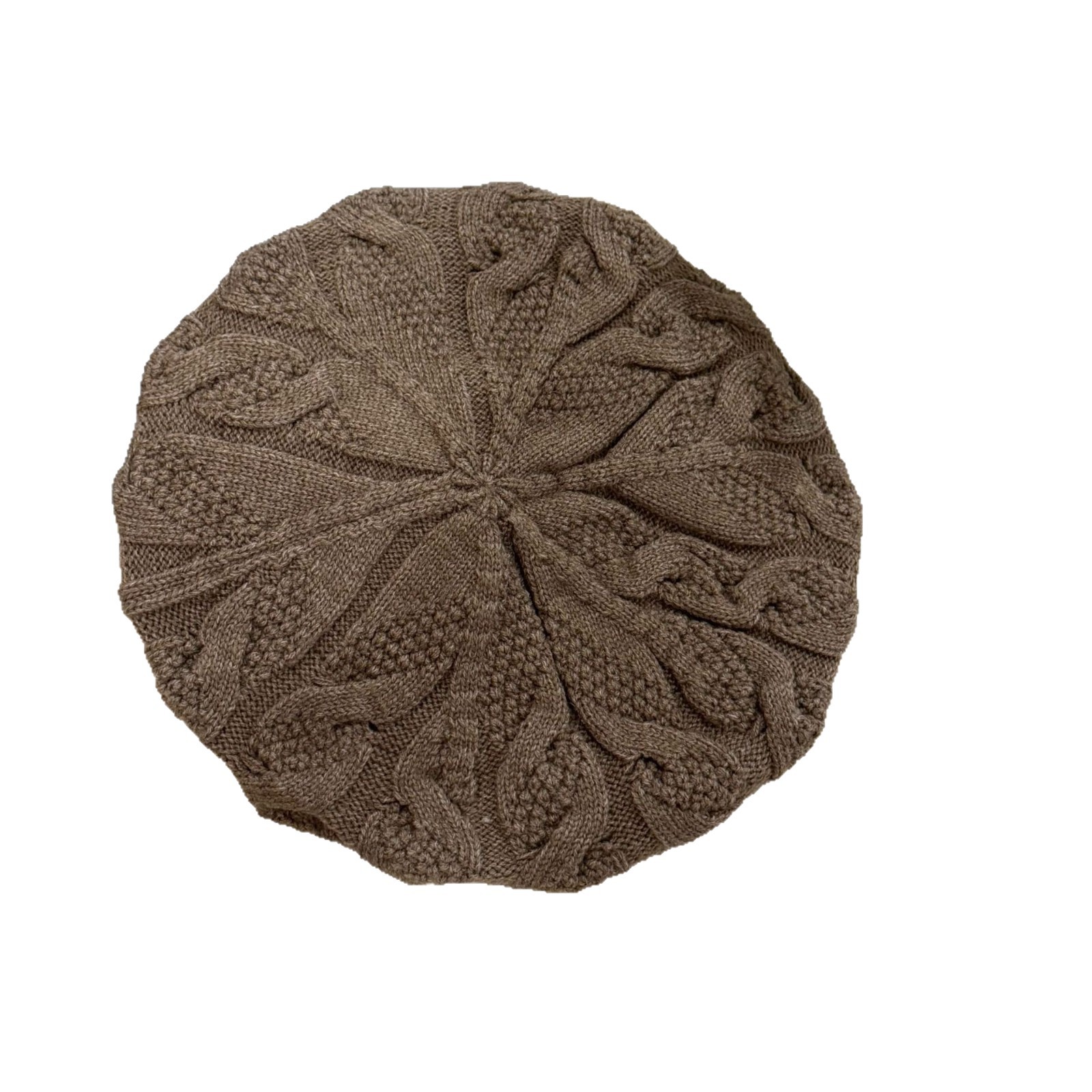 Women's autumn and winter thickened beret with cashmere hat, cross-border export single knitted beret from South Korea Item Picture