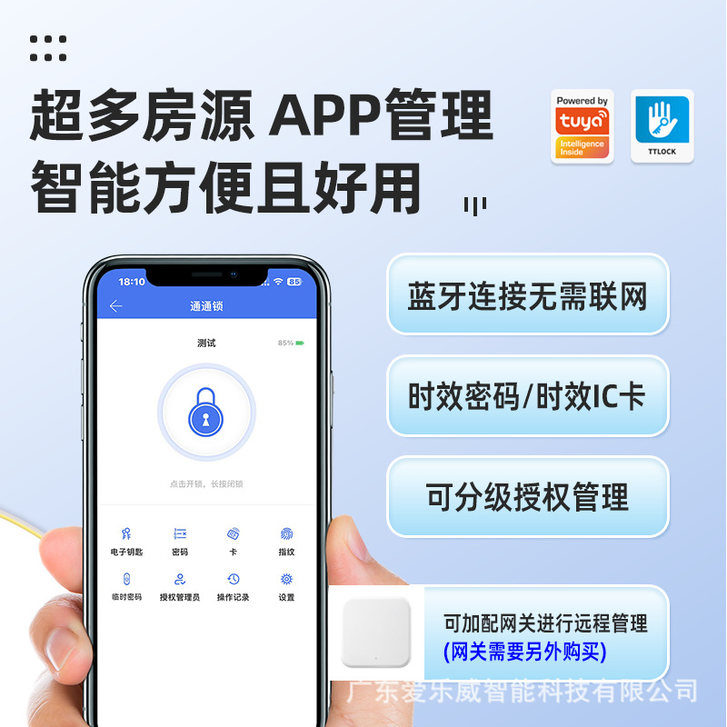 Cross-border European and American graffiti fingerprint lock, room bedroom smart lock, office apartment wooden door, APP password lock, small lock Specification image