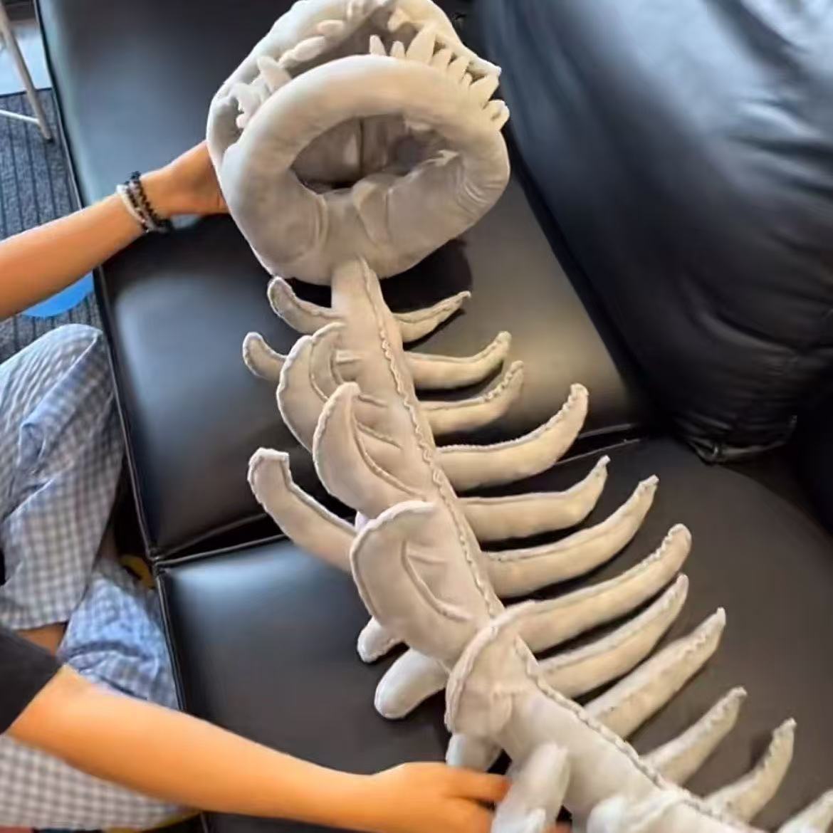 其他分类实物图