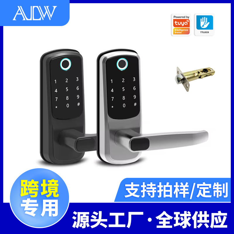 Cross-border European and American graffiti fingerprint lock, room bedroom smart lock, office apartment wooden door, APP password lock, small lock