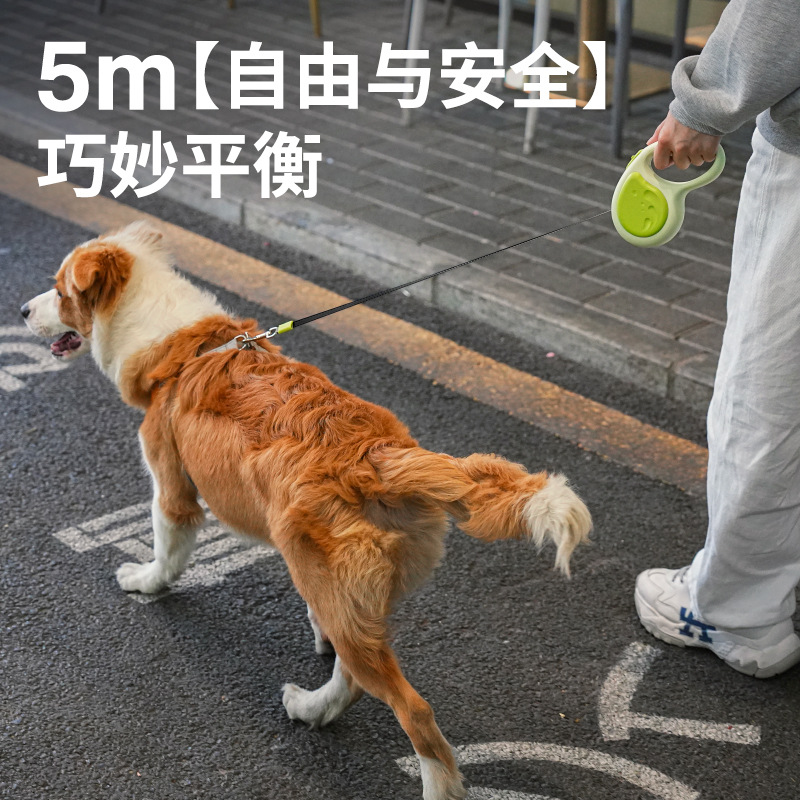 p leash, p dog leash, explosion-proof, impact-resistant, free, small, medium and large dog walking and training rope, resistant to biting and neck constricting