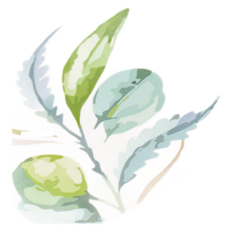 地垫/黄麻地毯/浴室垫/pvc浴垫/门垫白底实物图