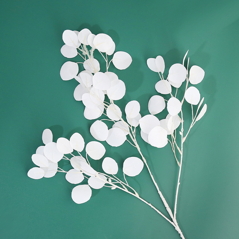 仿真蕨类实物图