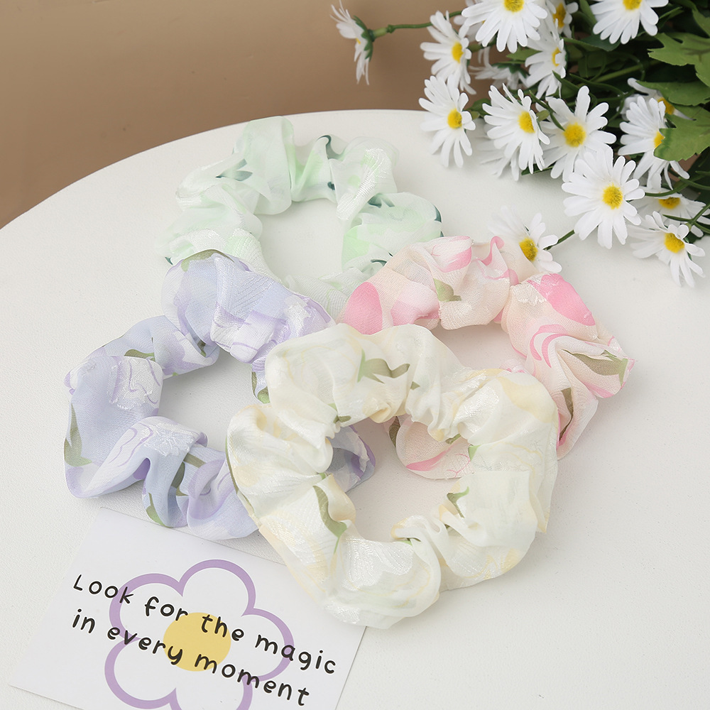 A fresh and delicate girl's large intestine hair band with a ponytail and a hair band, a Korean version of an Instagram girl's hair band