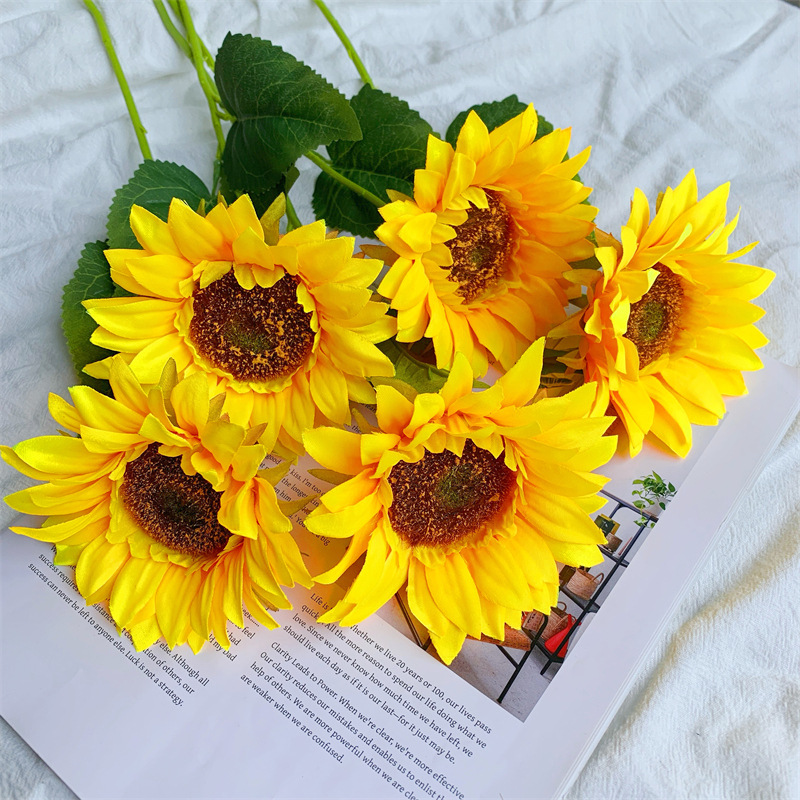 白桦树树叶/春天花园/微缩树桩古树/绿植仿真树/白桦树叶子细节图