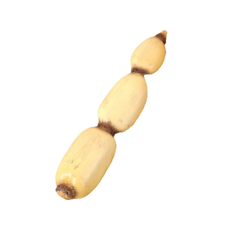 泡泡玛特/动物模型/泡泡玛特手办/小摆件/海洋动物解压玩具白底实物图