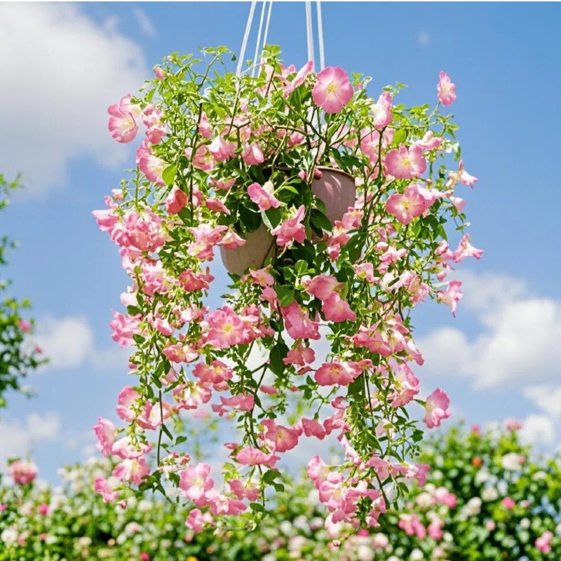 仿真花45目尤加利喇叭花婚庆牵牛花壁挂酒店室内外景装饰假花花束