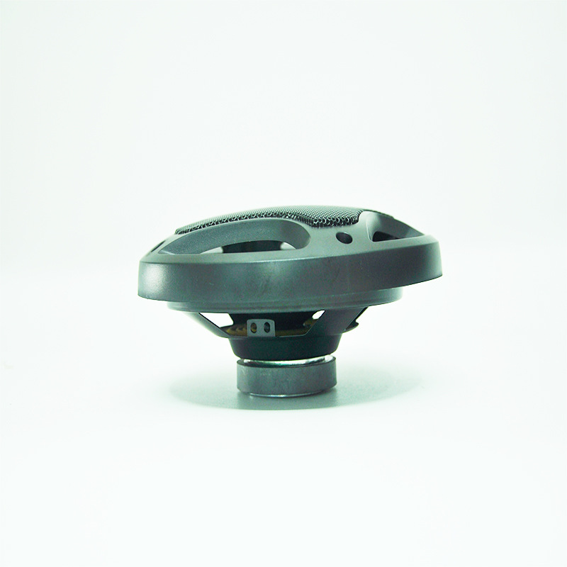 Pewo Cross-border Factory Direct sales of universal car accessories speakers, small car hands-free external full-range small speakers Application Scenario