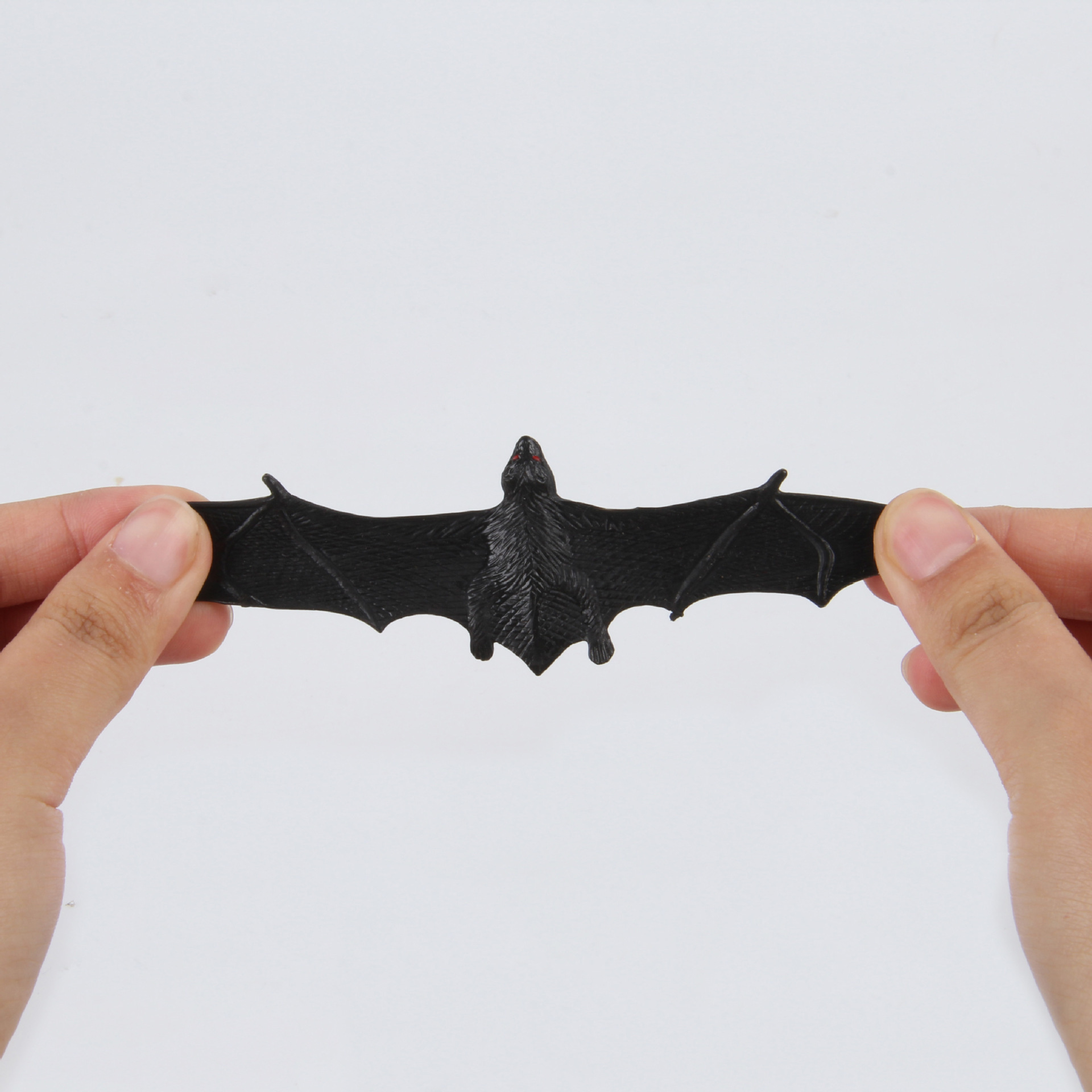 动植物/仿真模型实物图