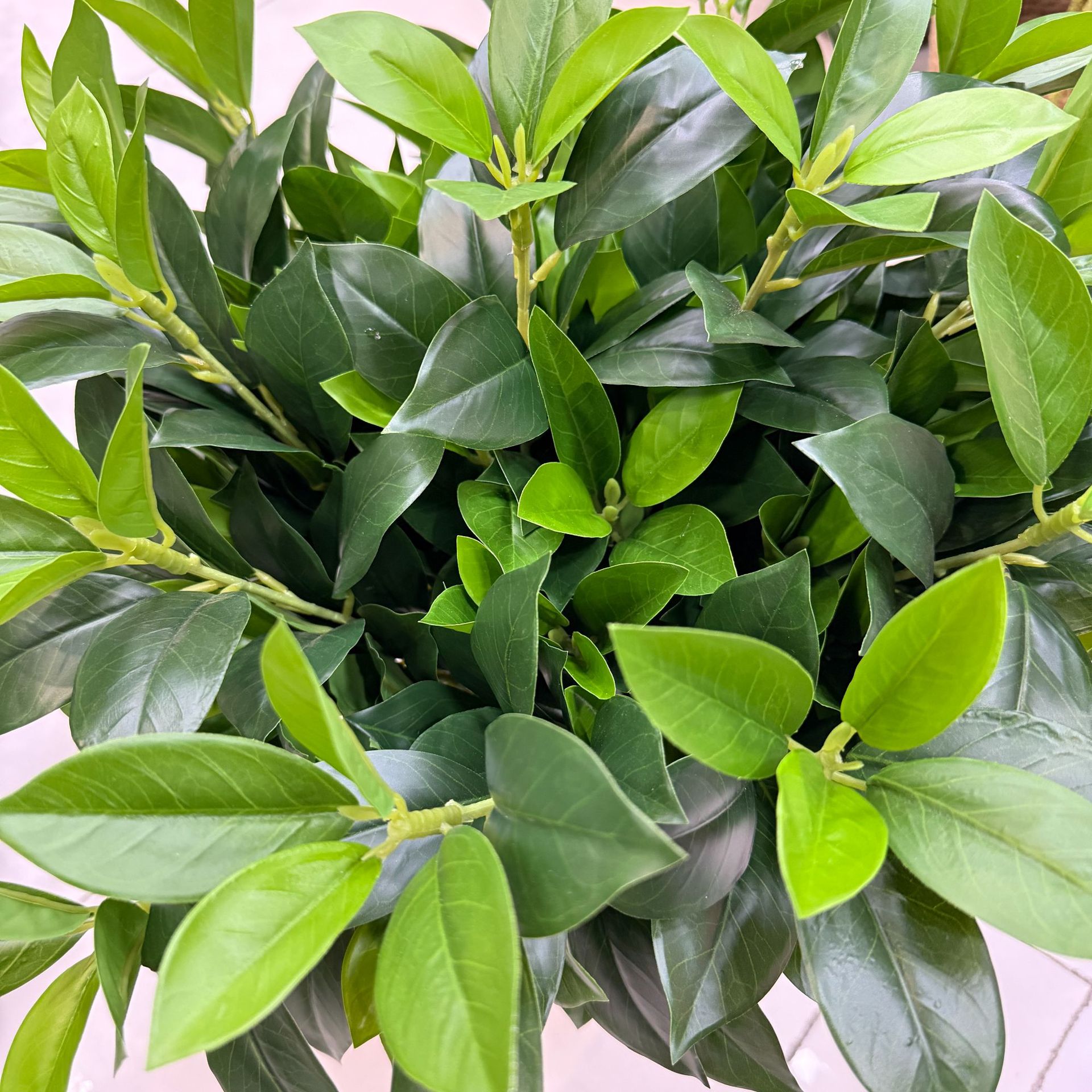 仿真柠檬叶 桔叶 桂花月桂叶 茶树叶 手感叶子植物造景树装饰家居产品图