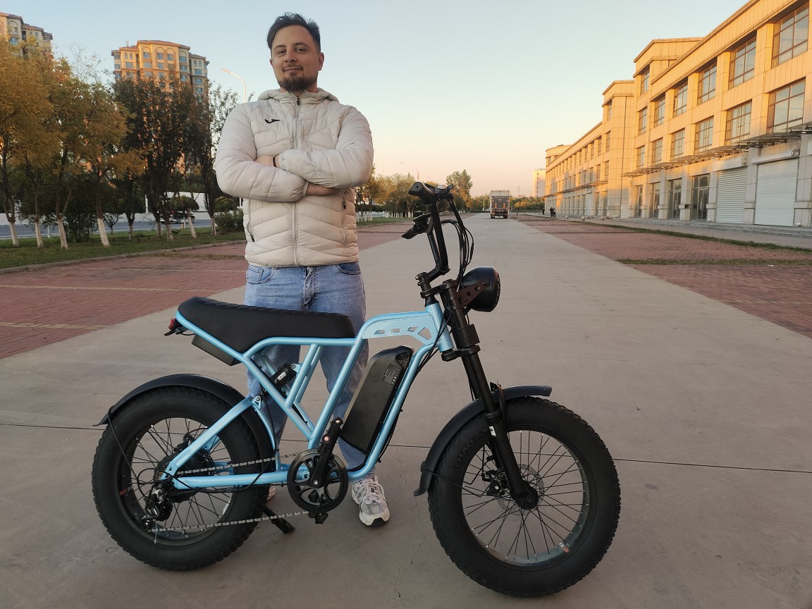 ebike lithium battery-powered snow bike 4.0 tire wide tire European 20-inch fat tire beach snow off-road single