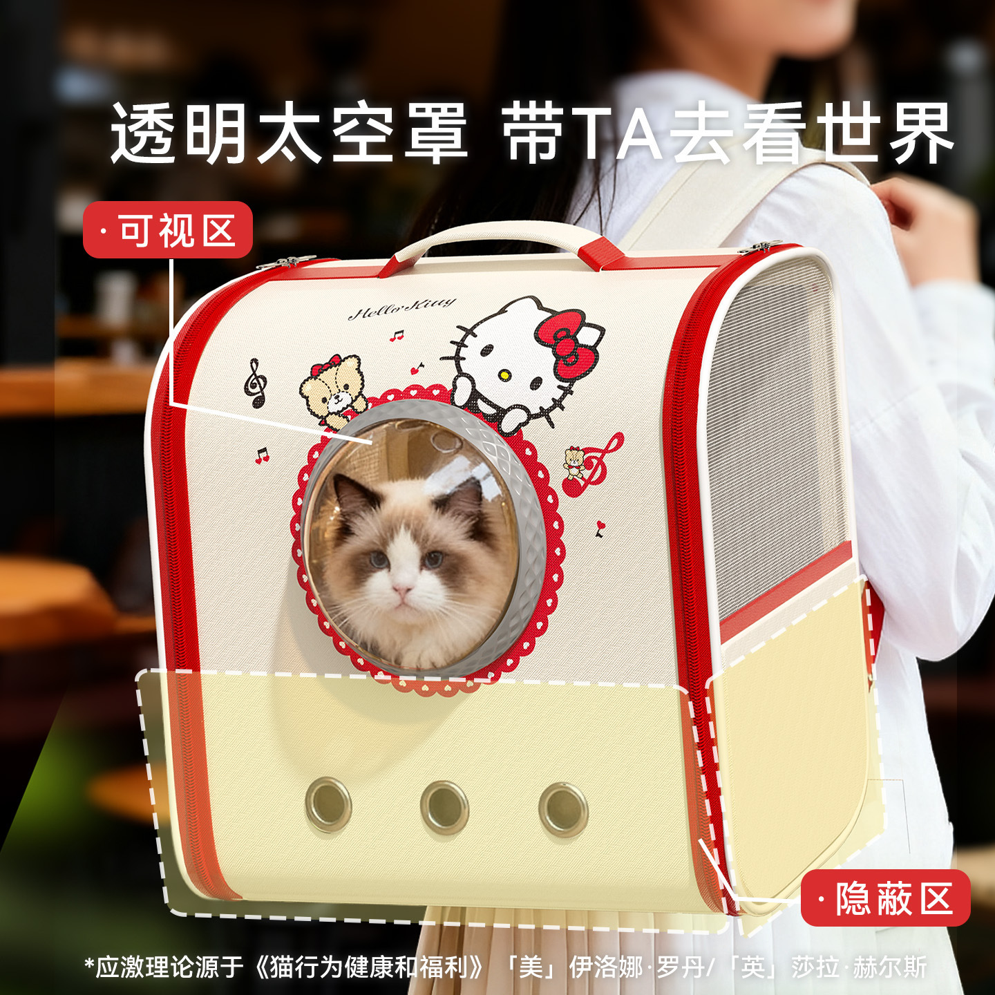 hellokitty cat Bag, space capsule backpack, breathable, large capacity, portable for going out. Cat and dog pet bag Application Scenario