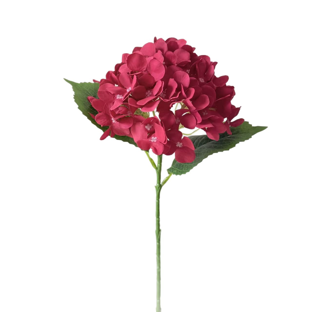 假草坪户外/草皮/人造仿真草坪/人造草坪/人造草白底实物图