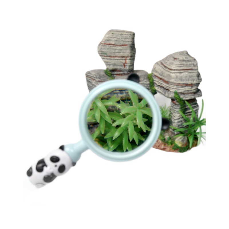 Wholesale of new children's handheld magnifying glass, outdoor biological observation magnifying glass, cartoon cute and portable microscope Item Picture