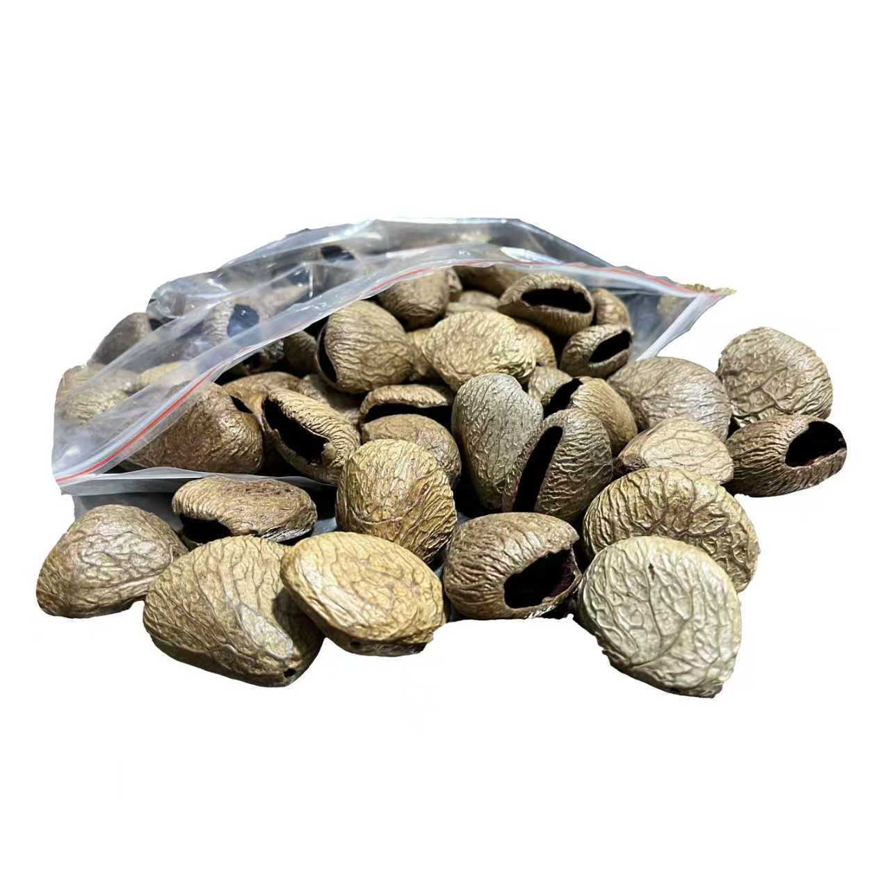 贝壳海螺/贝壳/贝壳片/贝壳粉压花/贝壳海螺饰品配件白底实物图