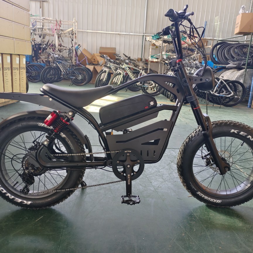 电动自行车实物图