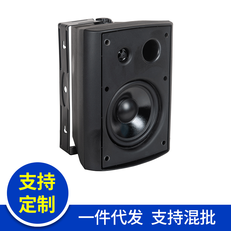 5.25寸壁挂音箱FashionSpeaker广播定压定阻转换70-100V8欧30W