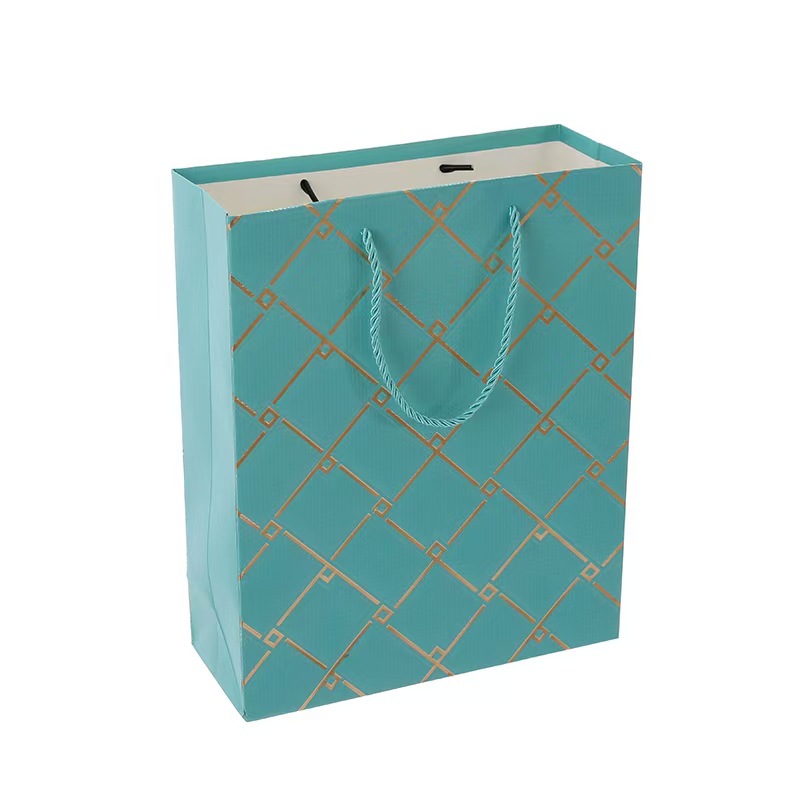 礼品袋/PVC袋子/包装袋pvc/服装店包装袋/服装店打包袋白底实物图