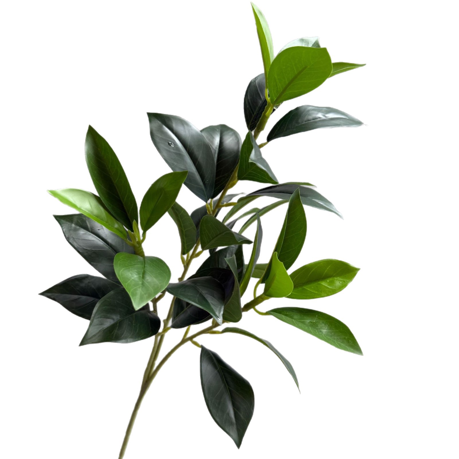 仿真柠檬叶 桔叶 桂花月桂叶 茶树叶 手感叶子植物造景树装饰家居白底实物图