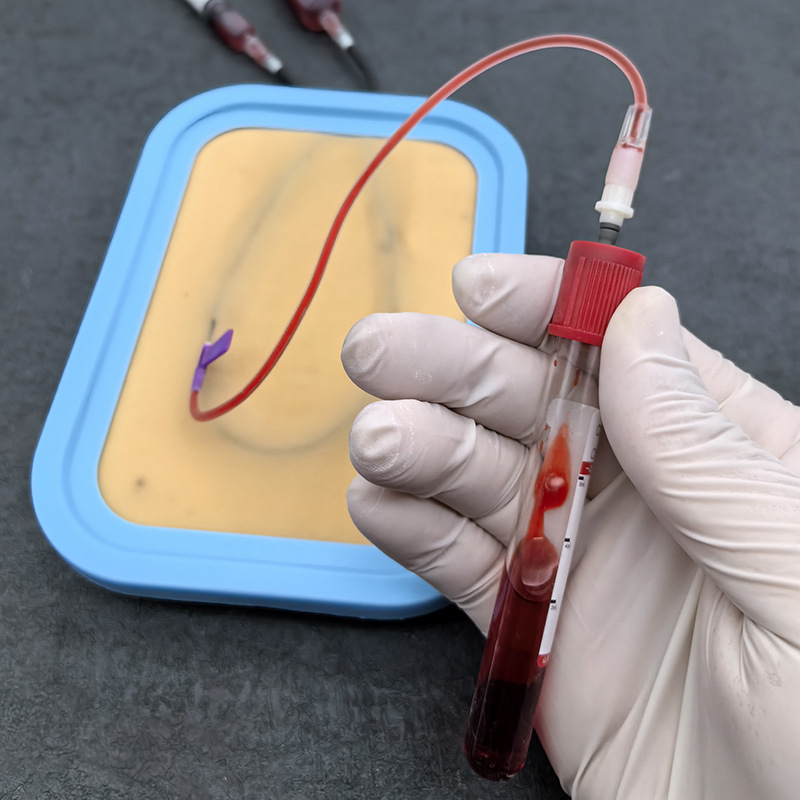 Intravenous injection practice model, medical infusion teaching, needle insertion, blood drawing, blood collection practice, vascular puncture, skin mold details Picture