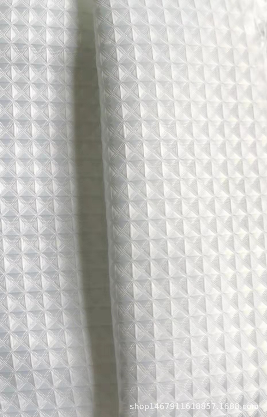 其他棉类面料实物图