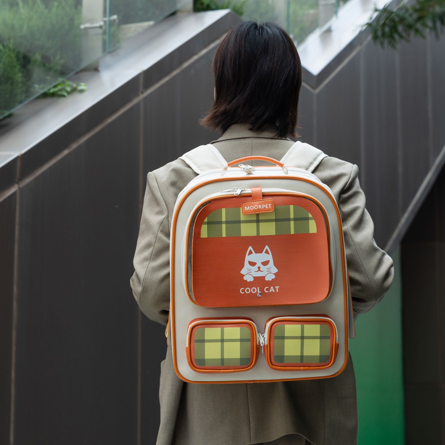 Cat bags, dog bags, pet bags for going out, portable cat bags for going out, pet bags, double-shoulder breathable, large capacity details Picture