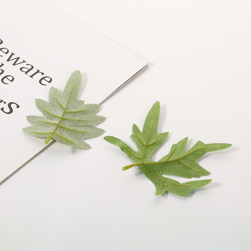 仿真蕨类实物图