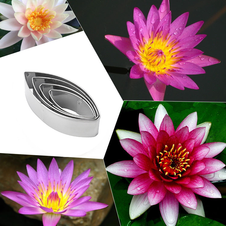 厨房用品烘培模具睡莲花瓣模具不锈钢翻糖糖花切模烘焙DIY烘焙造型工具批发外贸A342