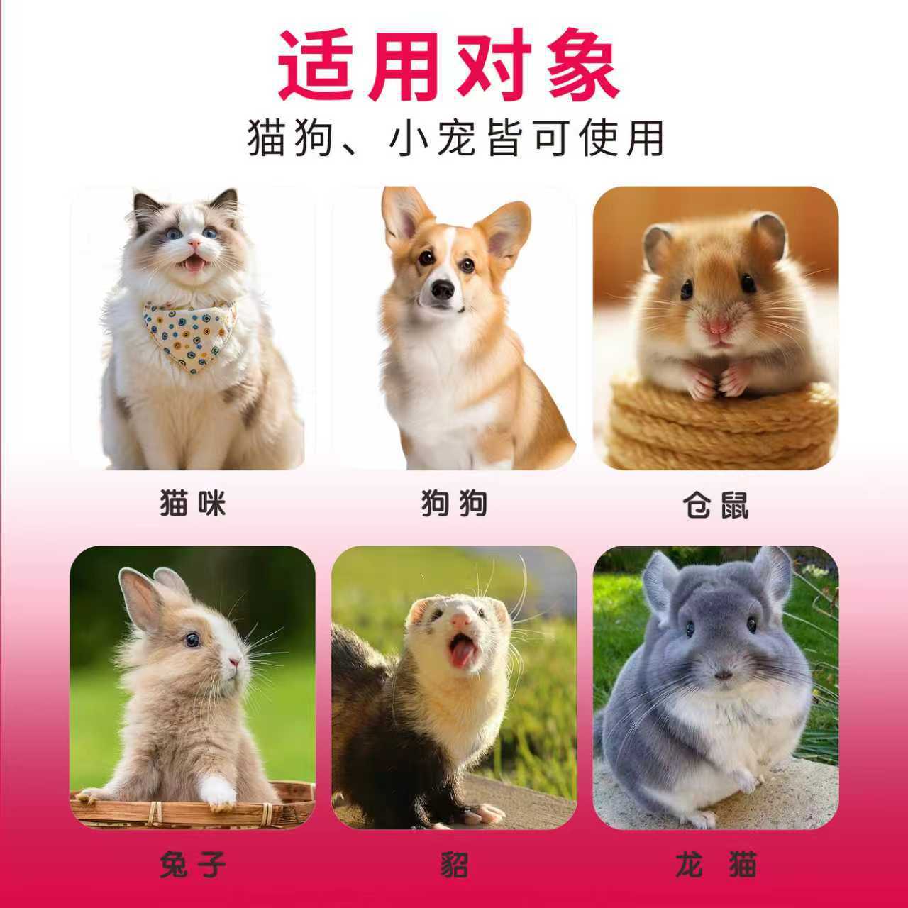 猫咪狗狗用乳果糖营养补充剂犬幼猫口服液调理肠胃提高免疫力 Application Scenario