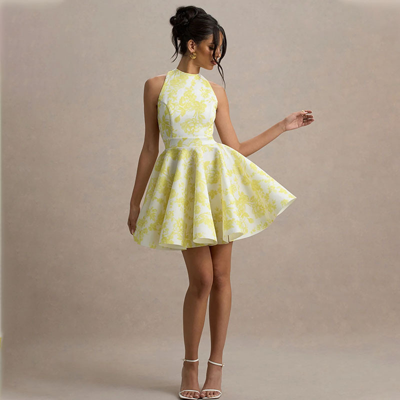 The new cross-border spring and summer women's clothing collection features A high-end and elegant sleeveless high-waisted backless A-line fashionable printed short skirt dress details Picture