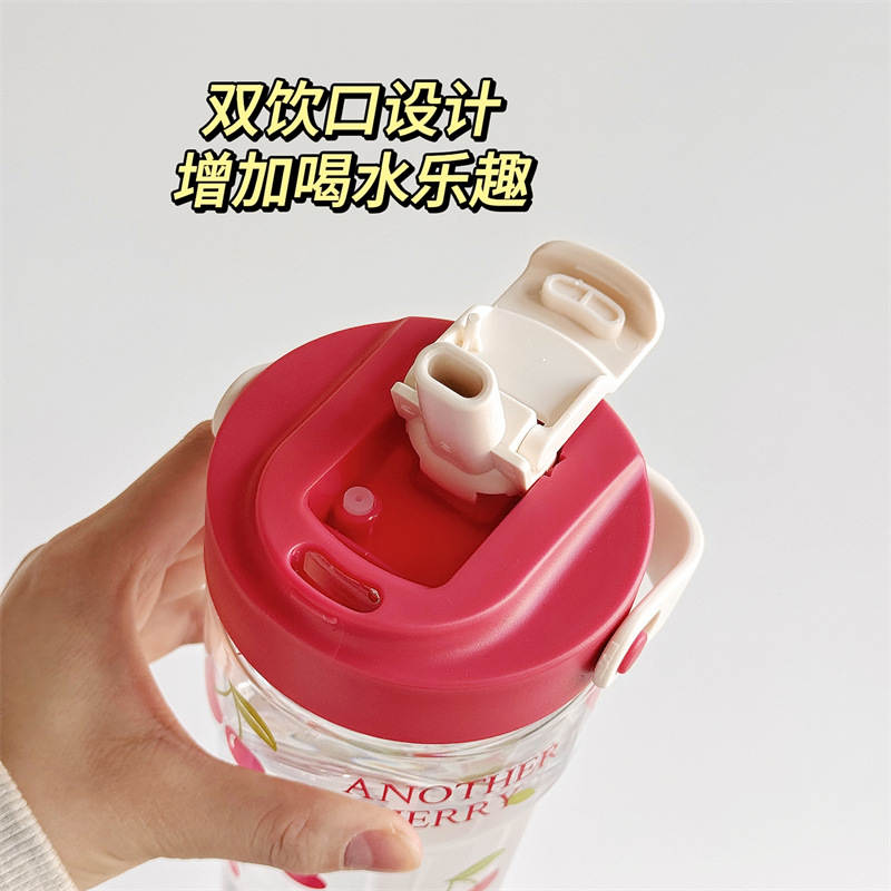 可爱车载吸管水杯女生高颜值大容量2025新款学生成人夏季便携杯子 Specification image